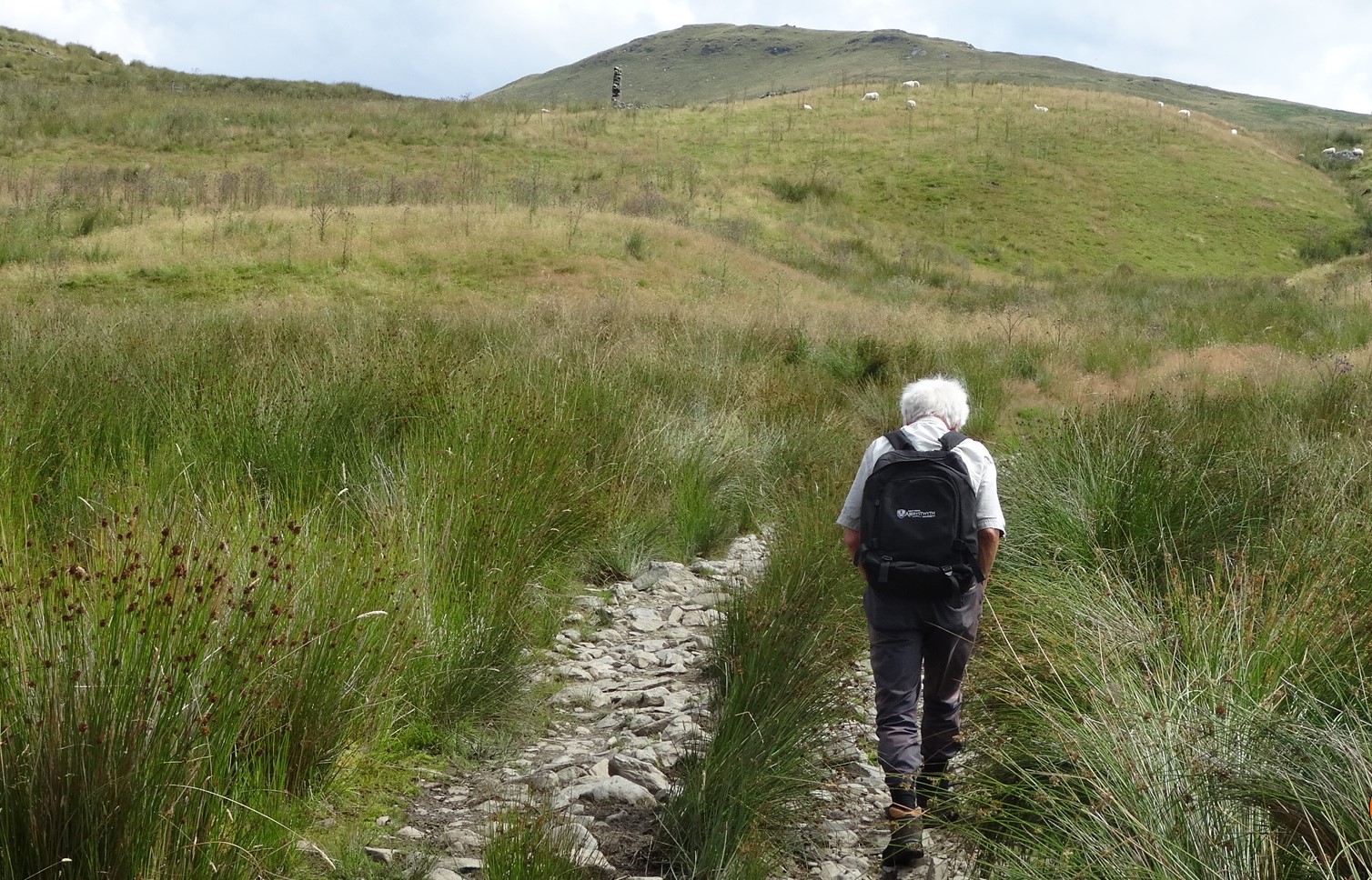RachelSeabrook.net | Wild Walking | Disgwylfa-Fawr | pic04A